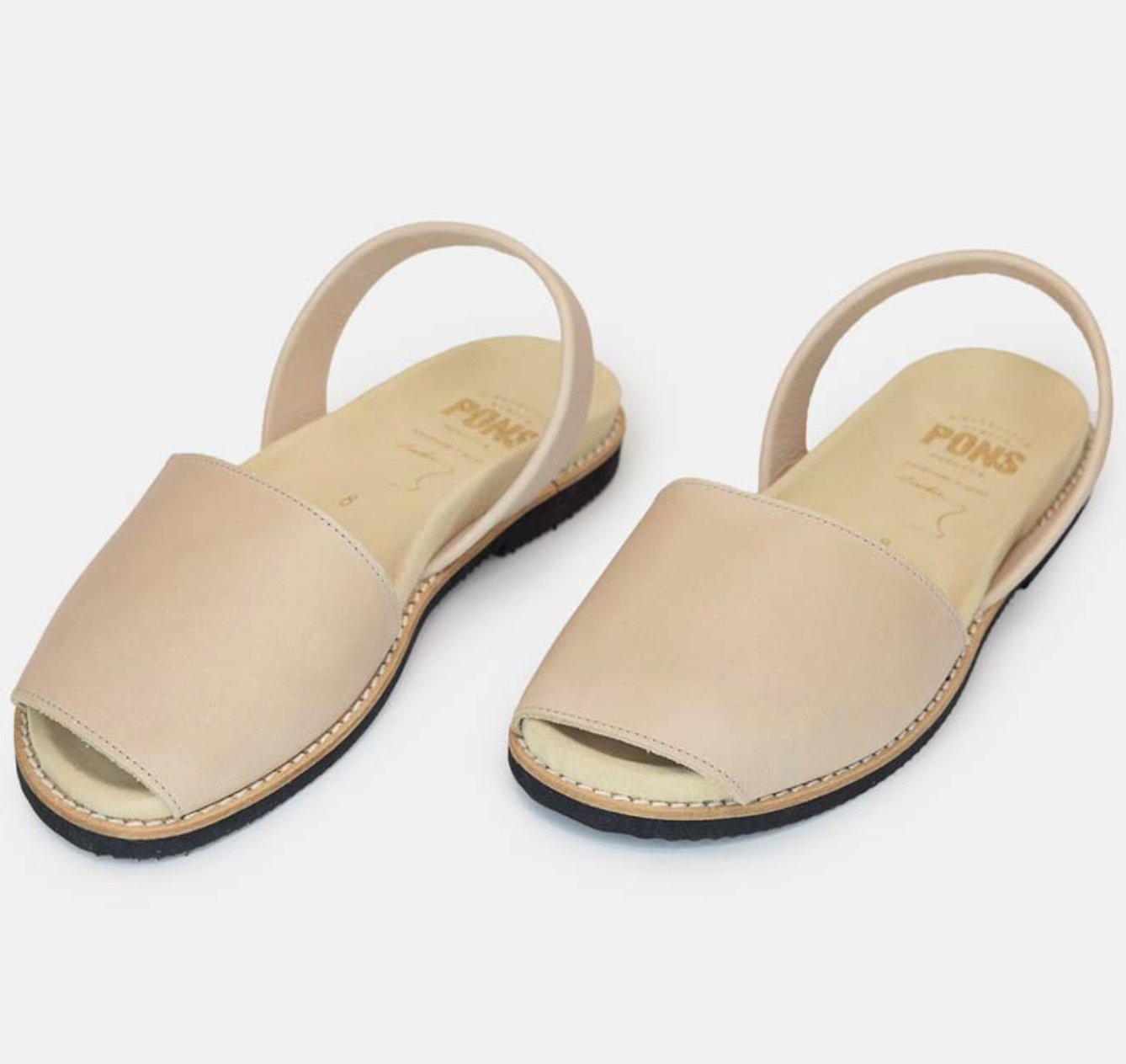 Pons- Anatomic - Sand