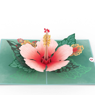 Lovepop- Hibiscus Bloom Card
