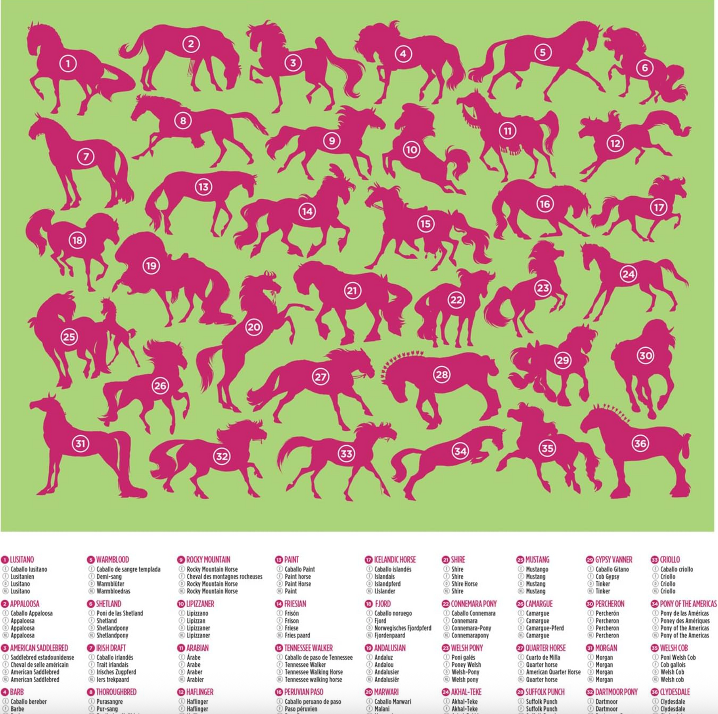 Horse Dreams Puzzle