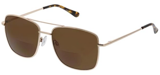 Big Sur Bifocal Sunglasses by Peepers