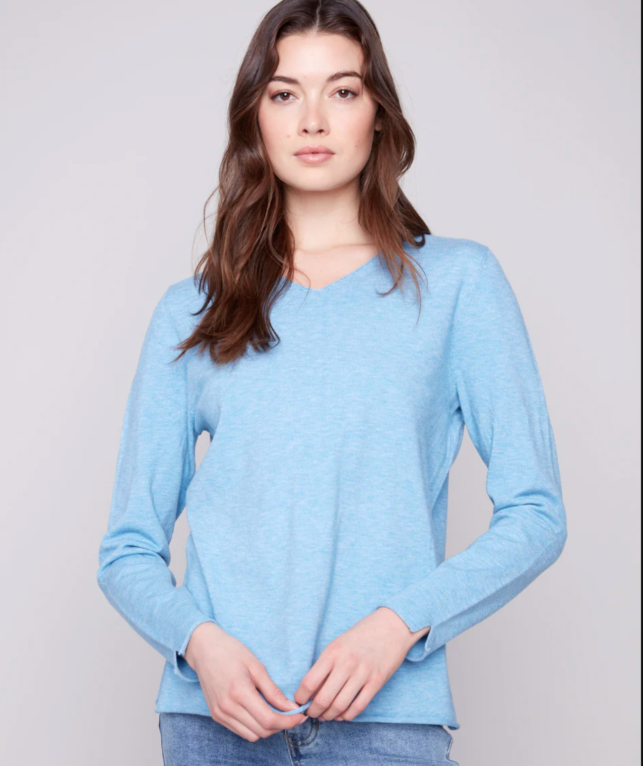 Basic V Neck Sweater
