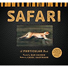 Book - Safari