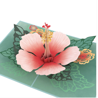 Hibiscus Bloom Greeting Card