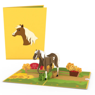 Pop up Greeting Cards