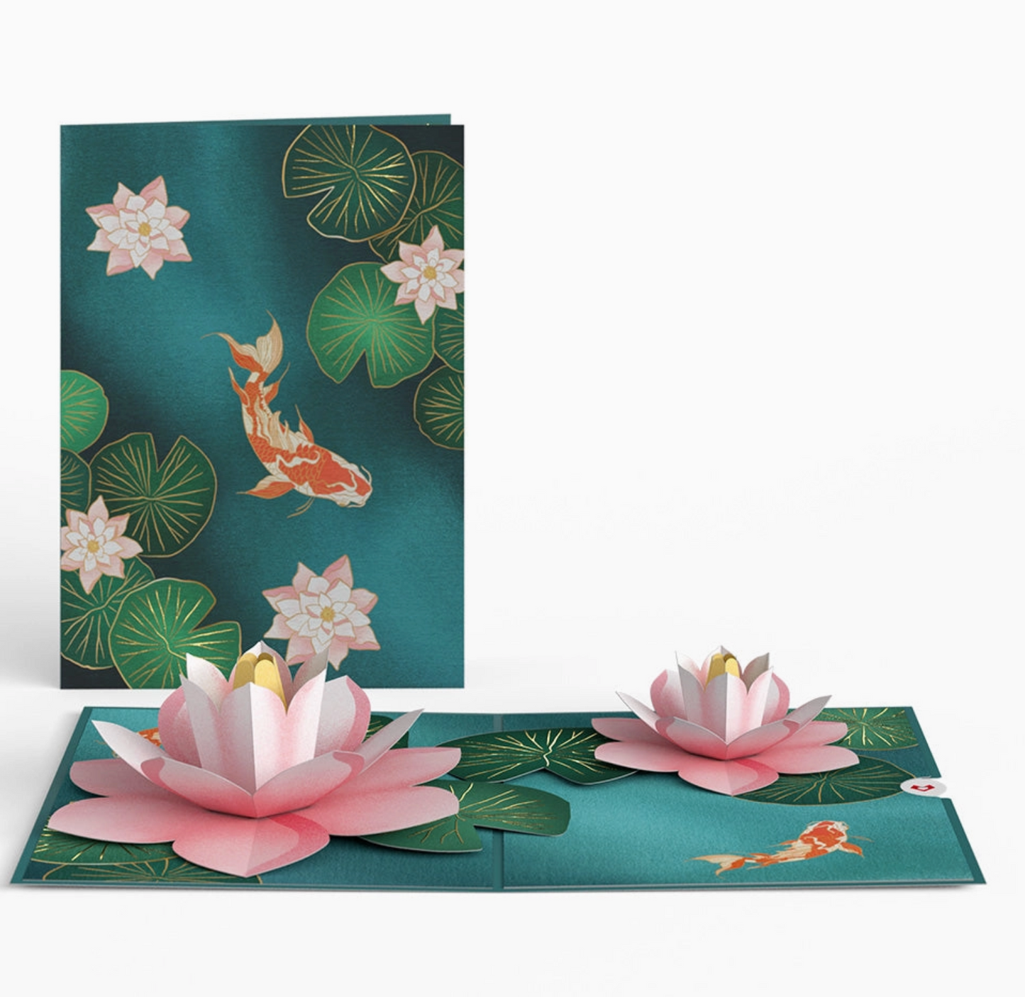 Lovepop Greeting Card - Koi Fish and Lotus