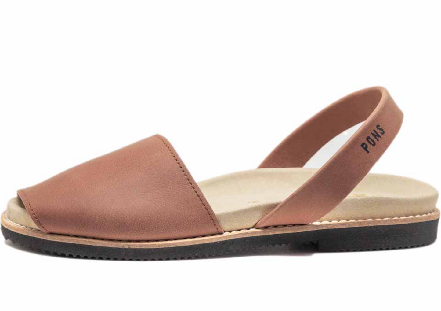Pons- Anatomic - Brown