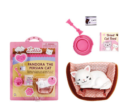 Lottie Pandora the Persian Cat