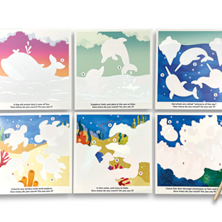 Water Reveal Boards Activity Books