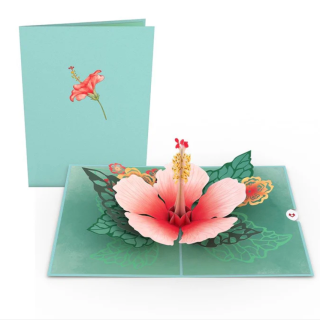 Hibiscus Bloom Greeting Card