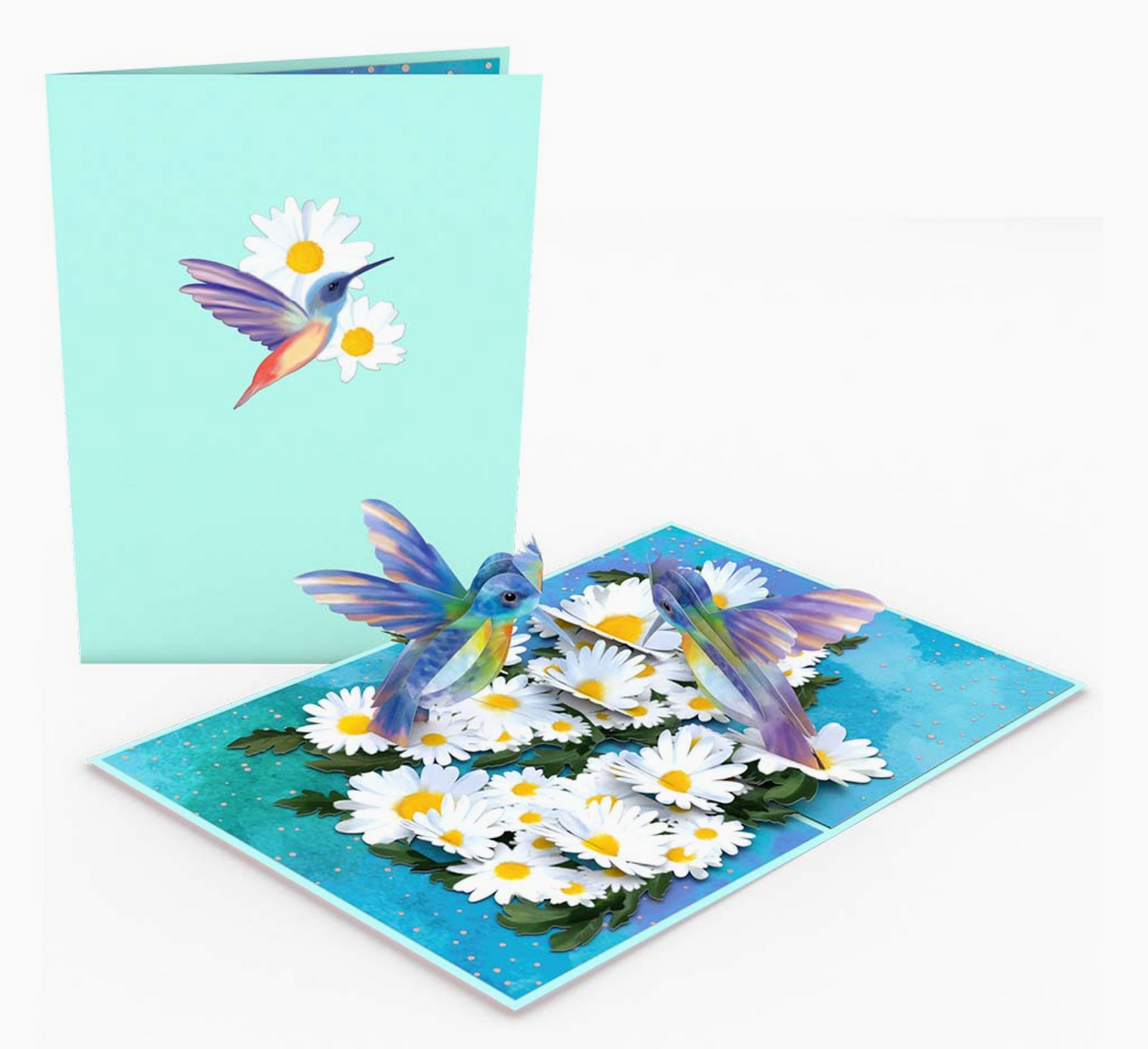 Lovepop Greeting Card - Daisy Patch Hummingbirds
