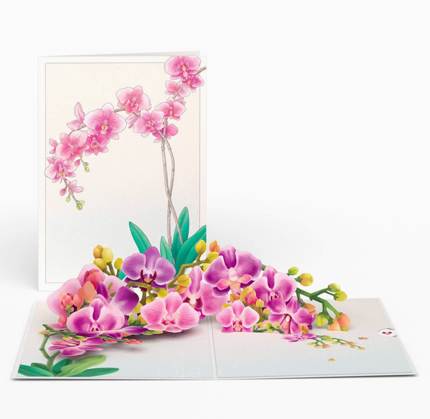 Lovepop Greeting Card - Watercolor Orchid