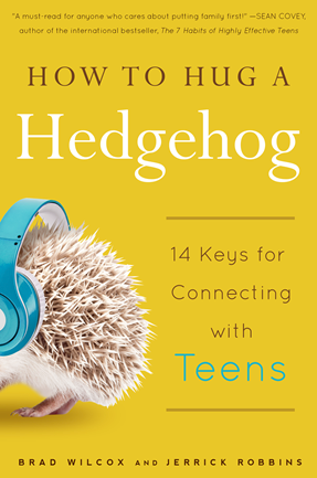 How to Hug a Hedgehog