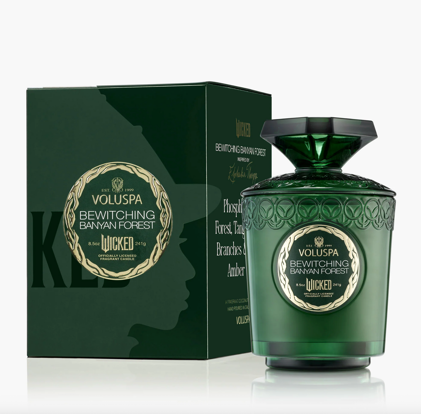 Wicked Boxed Candle Bewitching Banyan Forest