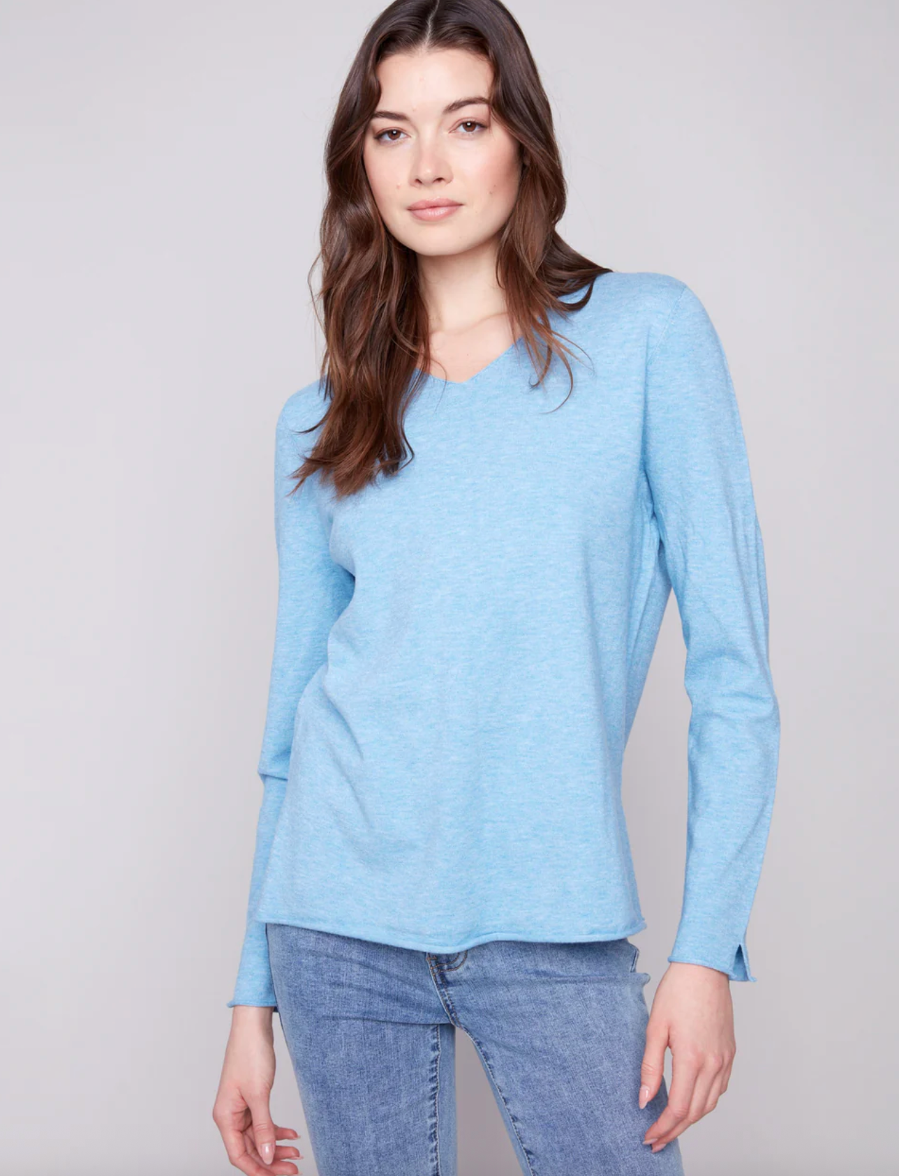 Basic V Neck Sweater