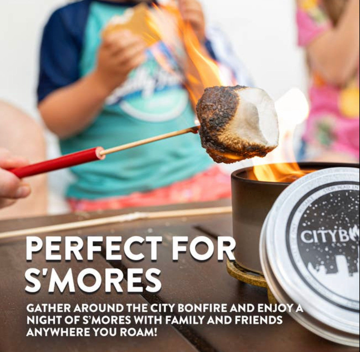 Portable Fire Pit Birthday