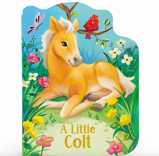 A Little Colt