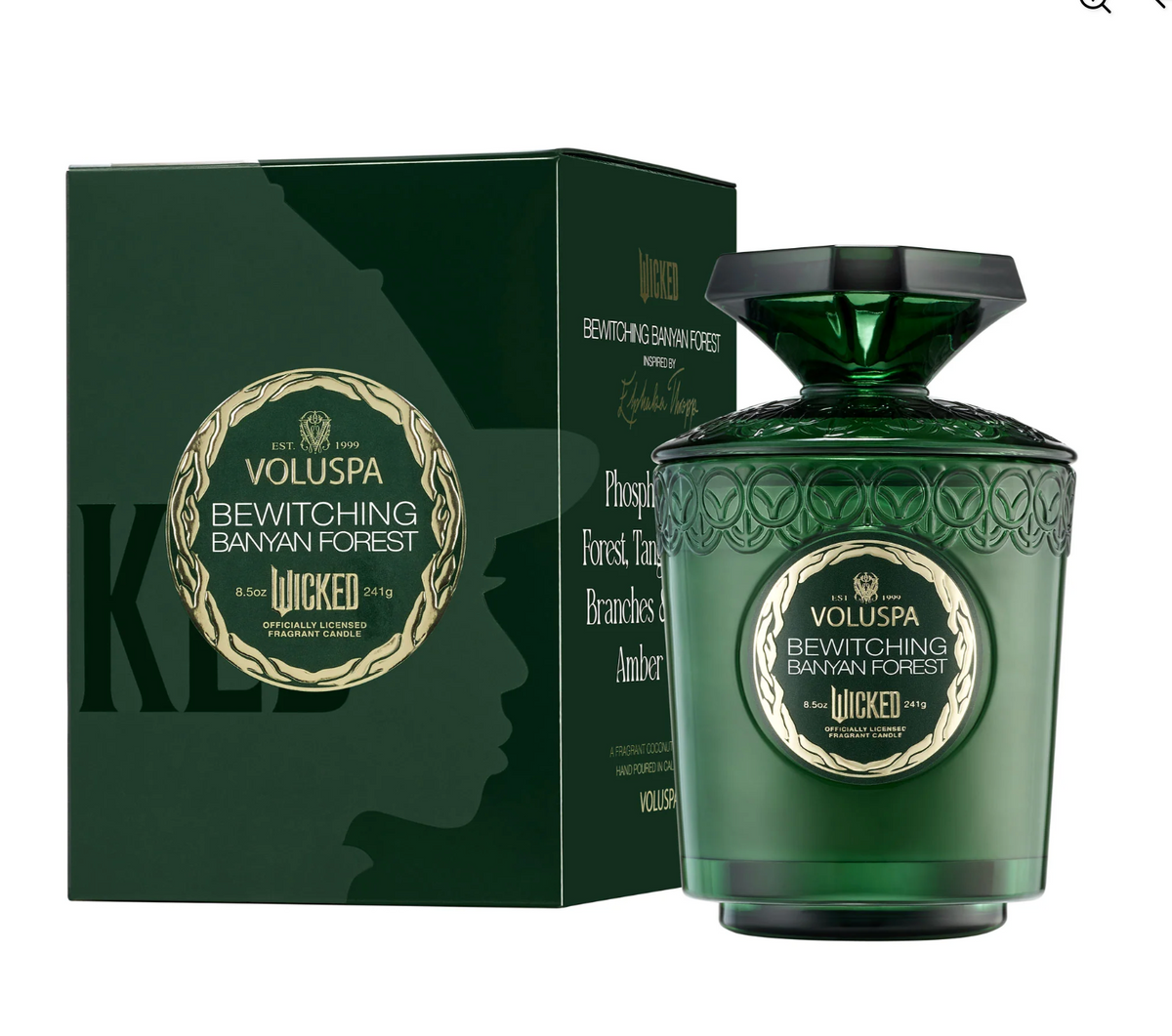 Wicked Boxed Candle Bewitching Banyan Forest